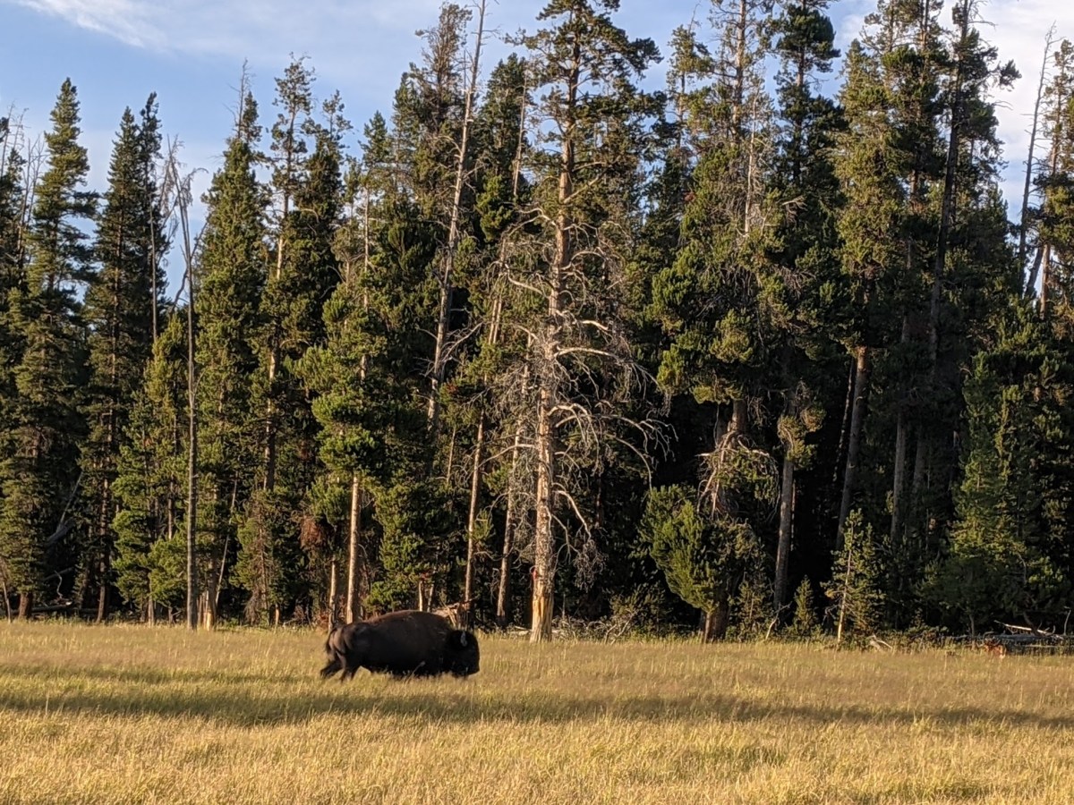 CDT Thru Hike: Yellowstone National&nbsp;Park